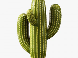 ceramic cactus set 3D Model