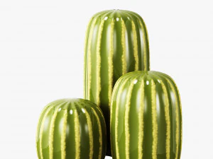 ceramic cactus set 3D Model