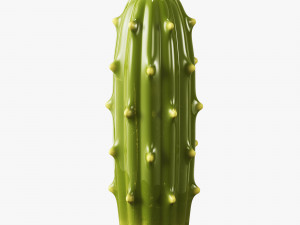 ceramic cactus set Model 3D