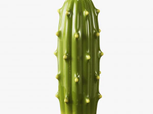 ceramic cactus set 3D Model