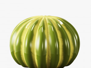 ceramic cactus set Model 3D