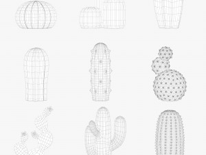 ceramic cactus set Model 3D