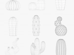 ceramic cactus set 3D Model
