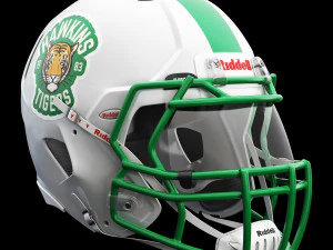 Riddell speed icon helmet 3D Model