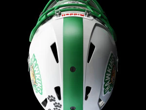 Riddell speed icon helmet 3D Model