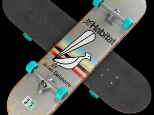 Skateboard set 004 Model 3D