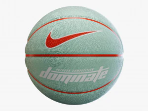 Basketball ball nike dominate set 3D Model