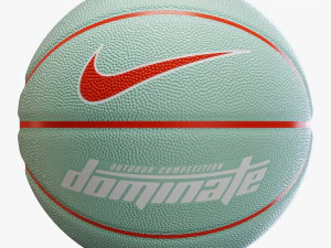 Basketball ball nike dominate set 3D Model