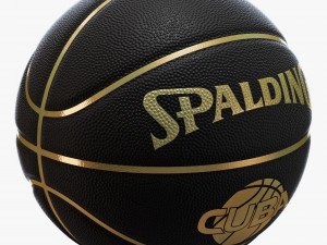 Basketball ball set 003 Modelo 3D
