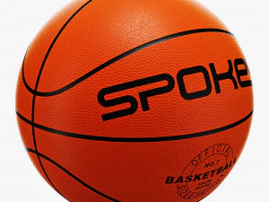 Basketball ball set 004 3D Model