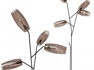 Gallotti and radice diantha terra 3Dモデル