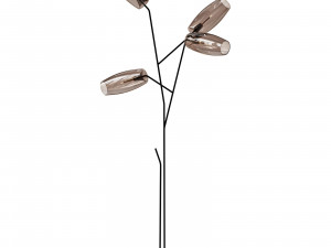 Gallotti and radice diantha terra 3D-Modell