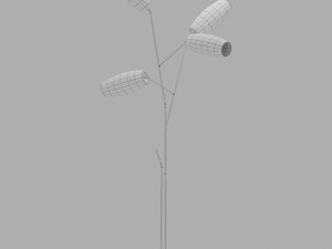 Gallotti and radice diantha terra 3D-Modell