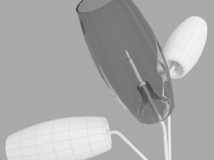 Gallotti and radice diantha terra 3D-Modell