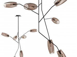 Gallotti 和根石竹 DVL 3D 模型