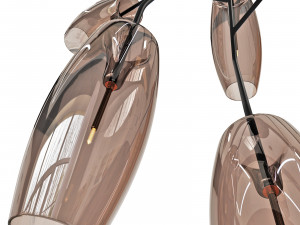 Gallotti and radice diantha DVS 3D 모델