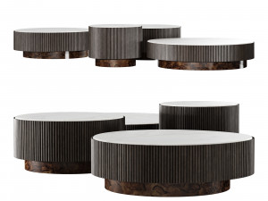 Gallotti and radice nori Modelo 3D