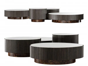 Gallotti e radice nori Modelo 3D