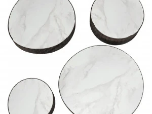 Gallotti e radice nori Modelo 3D
