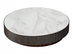 Gallotti e radice nori Modelo 3D