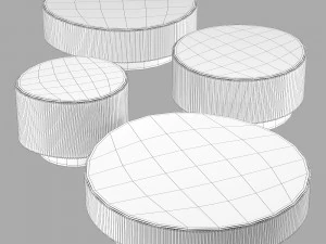 Gallotti e radice nori Modelo 3D