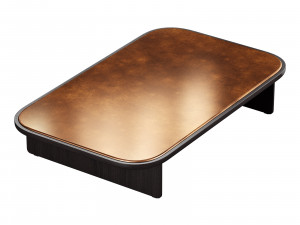 Gallotti and radice sensei Modello 3D