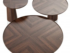 Roche bobois colorado cocktail table 3D Model