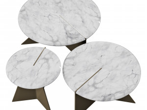 Roche bobois nenuphar cocktail table 3D Modell
