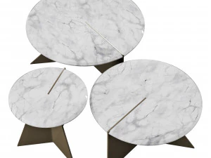 Roche bobois nenuphar cocktail table 3D Model