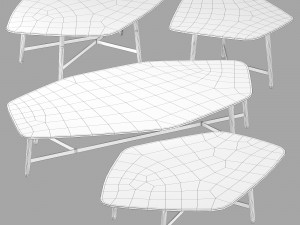 Roche bobois quintet cocktail table 3D Model