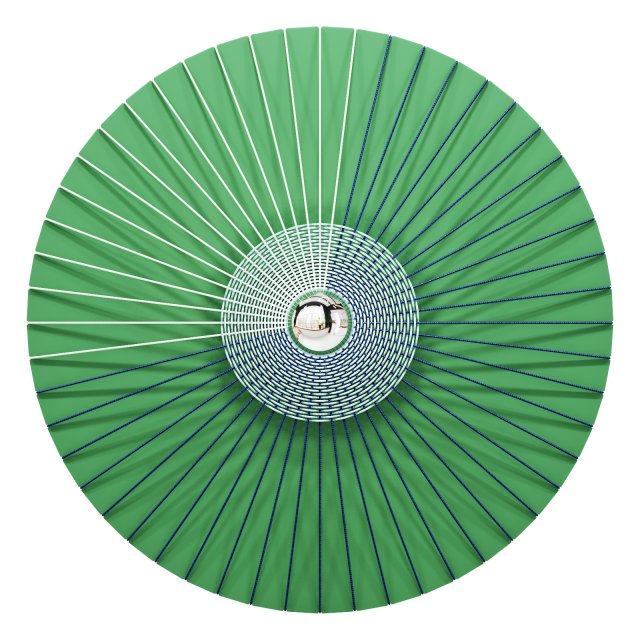 Roche bobois rays wall light 3D 模型 .c4d .max .obj .3ds .fbx .stl .blend 