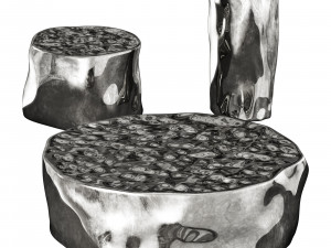 Roche bobois silver tree cocktail table 3D 模型