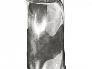 Roche bobois silver tree cocktail table 3D Модель