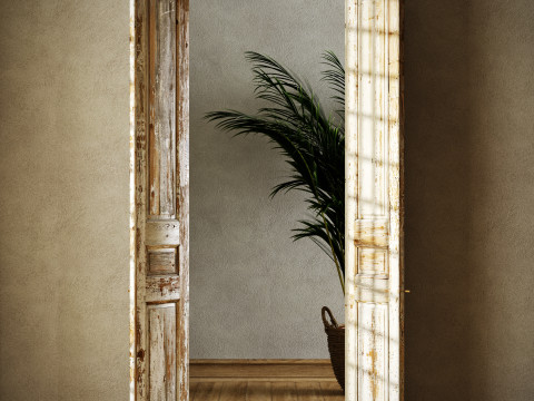 Old classic door 005 Modelo 3D
