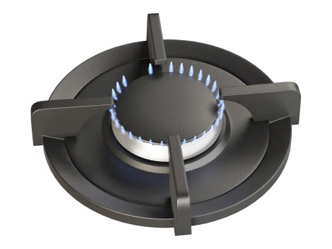 PITT cooking elbrus 3D Model