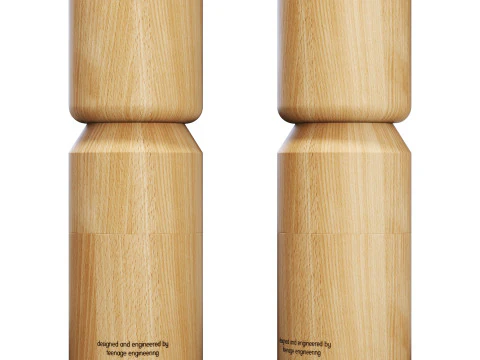 Coro di ingegneria giovanile CH-8 Altoparlante Bogdan Modello 3D