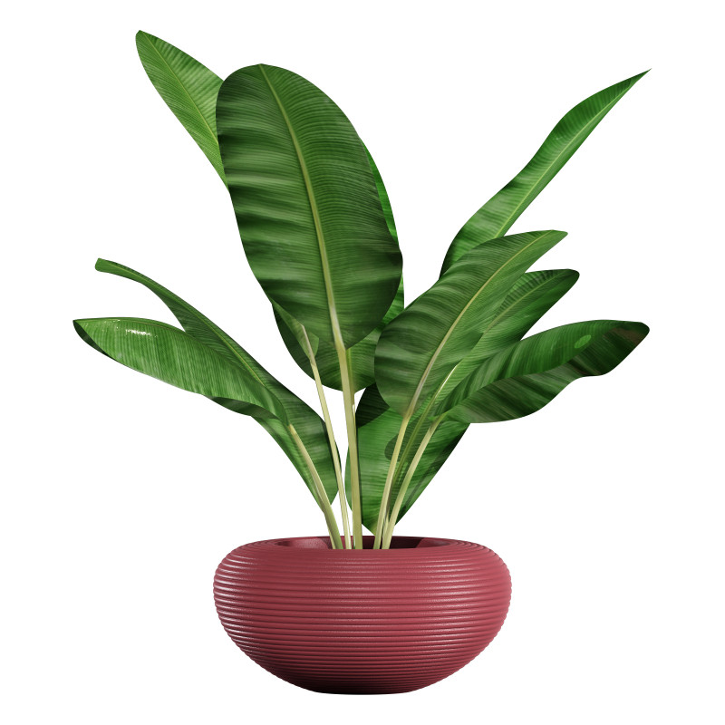 Qeeboo nami planter 3D 模型 .c4d .max .obj .3ds .fbx .stl .blend 