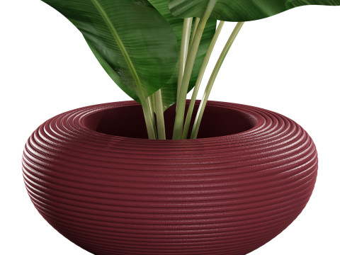 Qeeboo nami planter 3D 模型