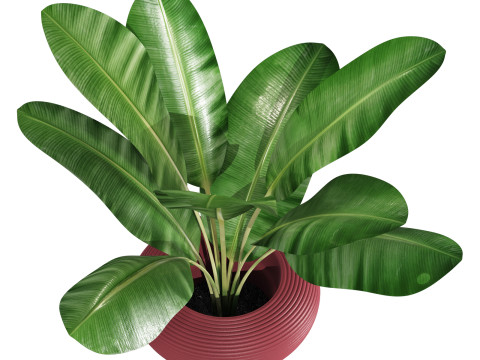 Qeeboo nami planter 3D 模型