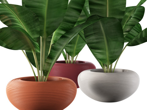 Qeeboo nami planter 3D 模型