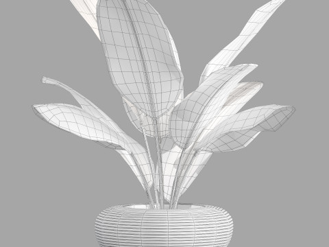 Qeeboo nami planter 3D 模型