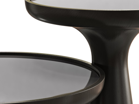 Gallotti and radice fante glass top coffee tables 3D मॉडल