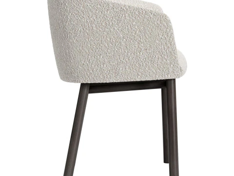 Gallotti e livrete de radice Modelo 3D