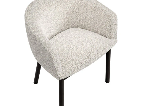 Gallotti e livrete de radice Modelo 3D