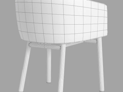 Gallotti e livrete de radice Modelo 3D