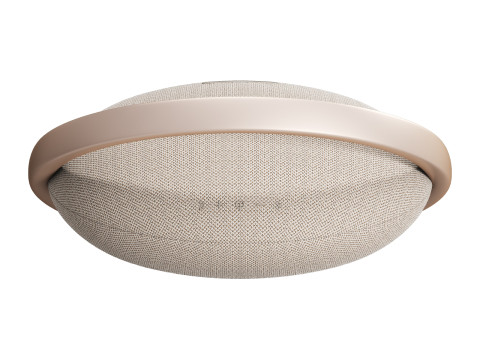 Harman Kardon Onyx Studio 8 3D Модель
