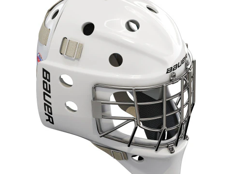 Bauer Profile 960 Goalie Mask 3D Model