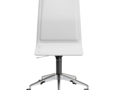 Gallotti e radice ofx 09 Modelo 3D