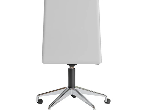 Gallotti e radice ofx 09 Modelo 3D