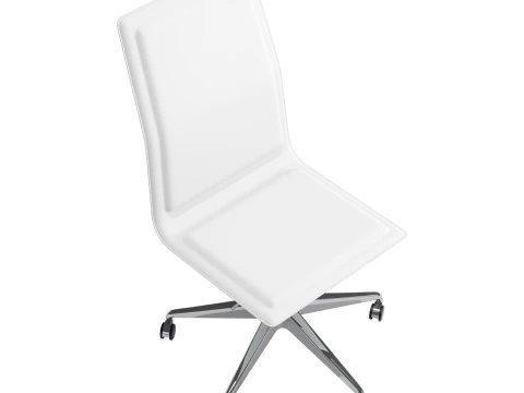 Gallotti e radice ofx 09 Modelo 3D